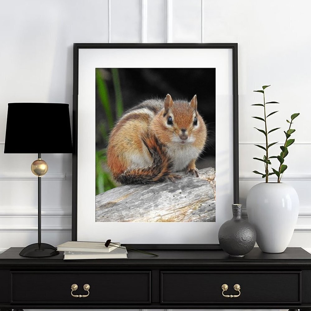 11x14 Cute Chipmunk Photography Oil Painting Art Print‎ - Picture 3 of 3